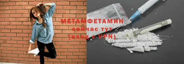 шишки Вяземский
