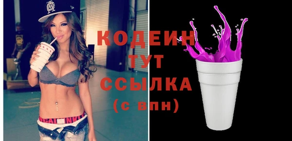 шишки Вяземский
