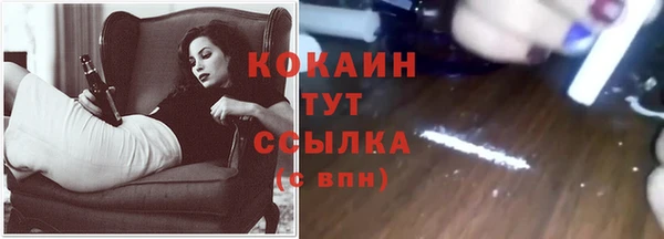 шишки Вяземский