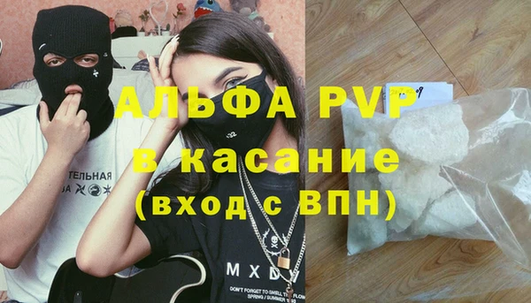 шишки Вяземский