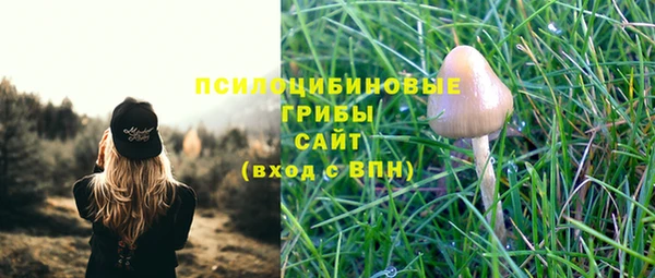 синтетический гашиш Вязьма