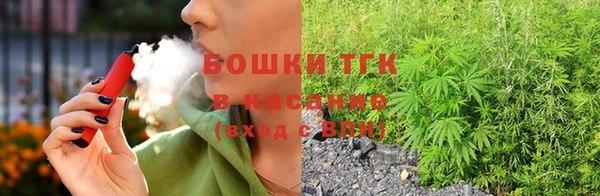 шишки Вяземский