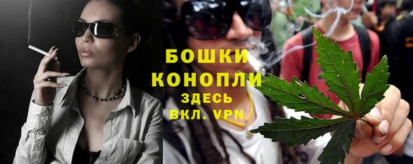 шишки Вяземский