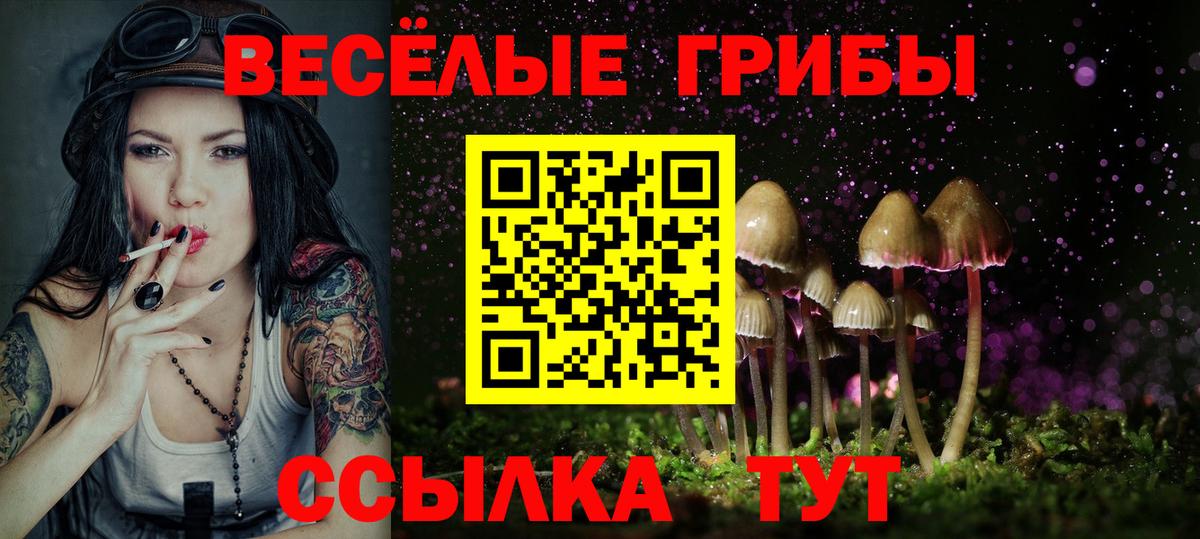 Галлюциногенные грибы Cubensis Абакан