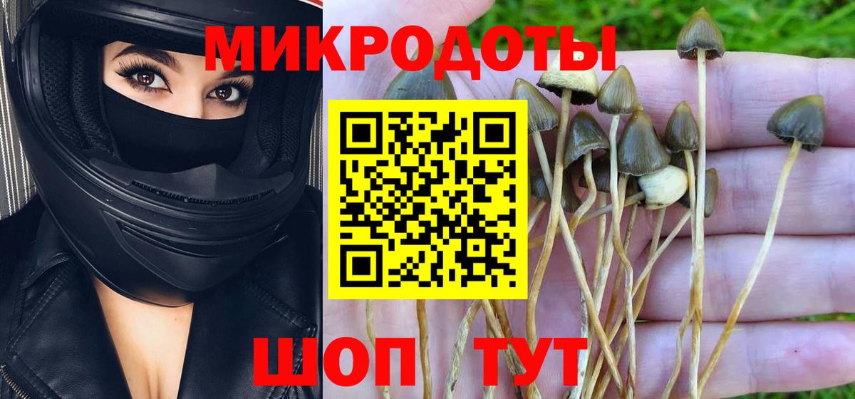Галлюциногенные грибы мухоморы  Вход с VPN  Абакан  Псилоцибиновые грибы Cubensis 
