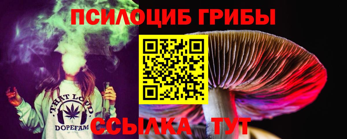 Абакан  Галлюциногенные грибы Magic Shrooms  Псилоцибиновые грибы Psilocybe  Вход с VPN 