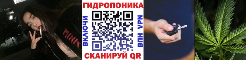 дарнет шоп  Абакан  Шишки марихуана тримм 